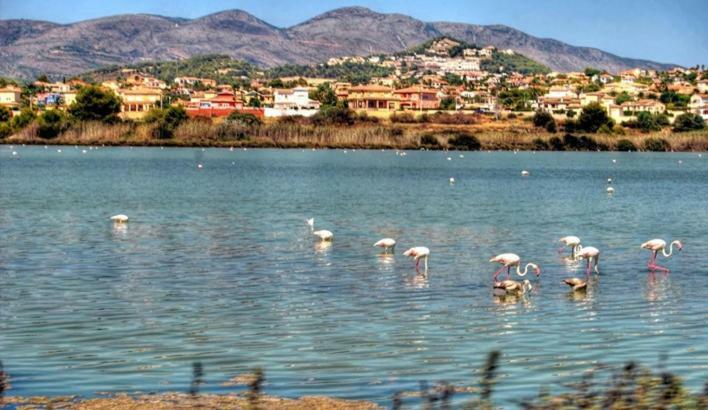 Apartamento Moderno Muy Centrico Y Cerca De La Playa Apartment Calpe Ngoại thất bức ảnh